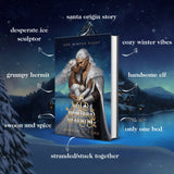 A Wild Winter's Warning - Angela J. Ford | Fantasy Author