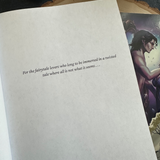 Wicked Prince of Mirrors: A villain gets the girl romantasy
