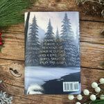 A Sleet Storm's Seduction - Angela J. Ford | Fantasy Author