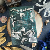 Treachery of Water (Treachery of Nomadia #1)
