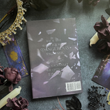 Wicked Prince of Mirrors: A villain gets the girl romantasy