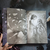 Wicked Prince of Mirrors: A villain gets the girl romantasy